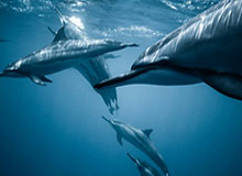 开云体育APP下载：开启专属体育娱乐新纪元