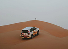 乐鱼：把海的鲜活带回家，开启健康美味的日常