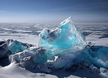 乐鱼：把海的鲜活带回家，开启健康美味的日常